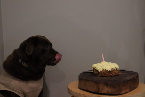 Birthday Cakes - Image 3